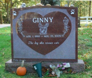 Джинни – собака, которая спасала кошек