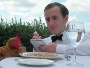 В Англии открыт отель для кур