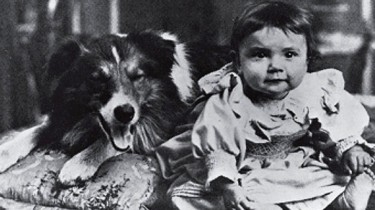 Первая в мире собака-кинозвезда