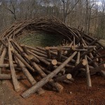 Гигантское гнездо Гигантское гнездо