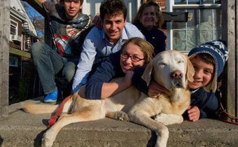 Пес Сэнди нашелся после урагана «Сэнди»